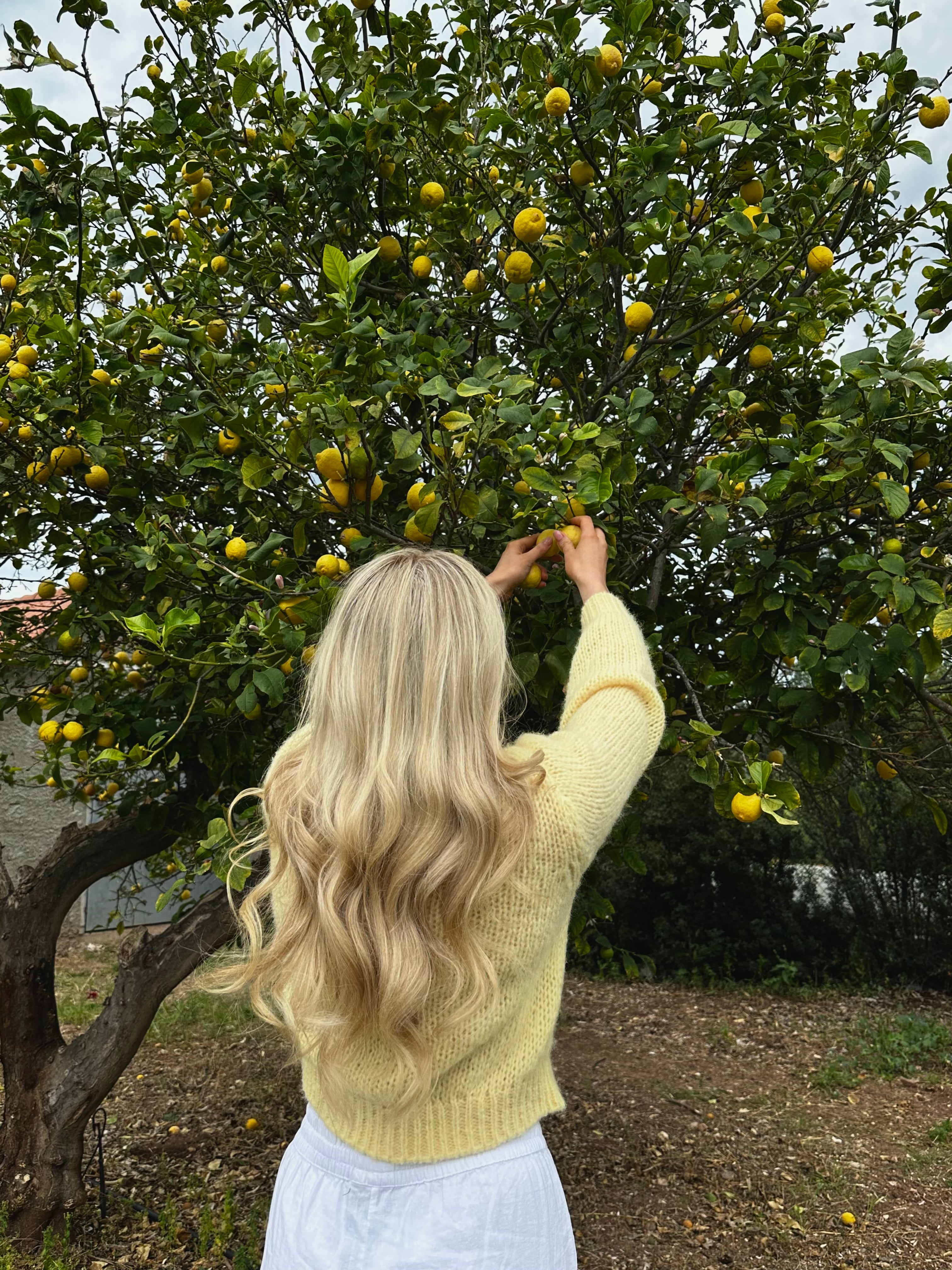 VMWILO Knit Cardigan - Pale Banana