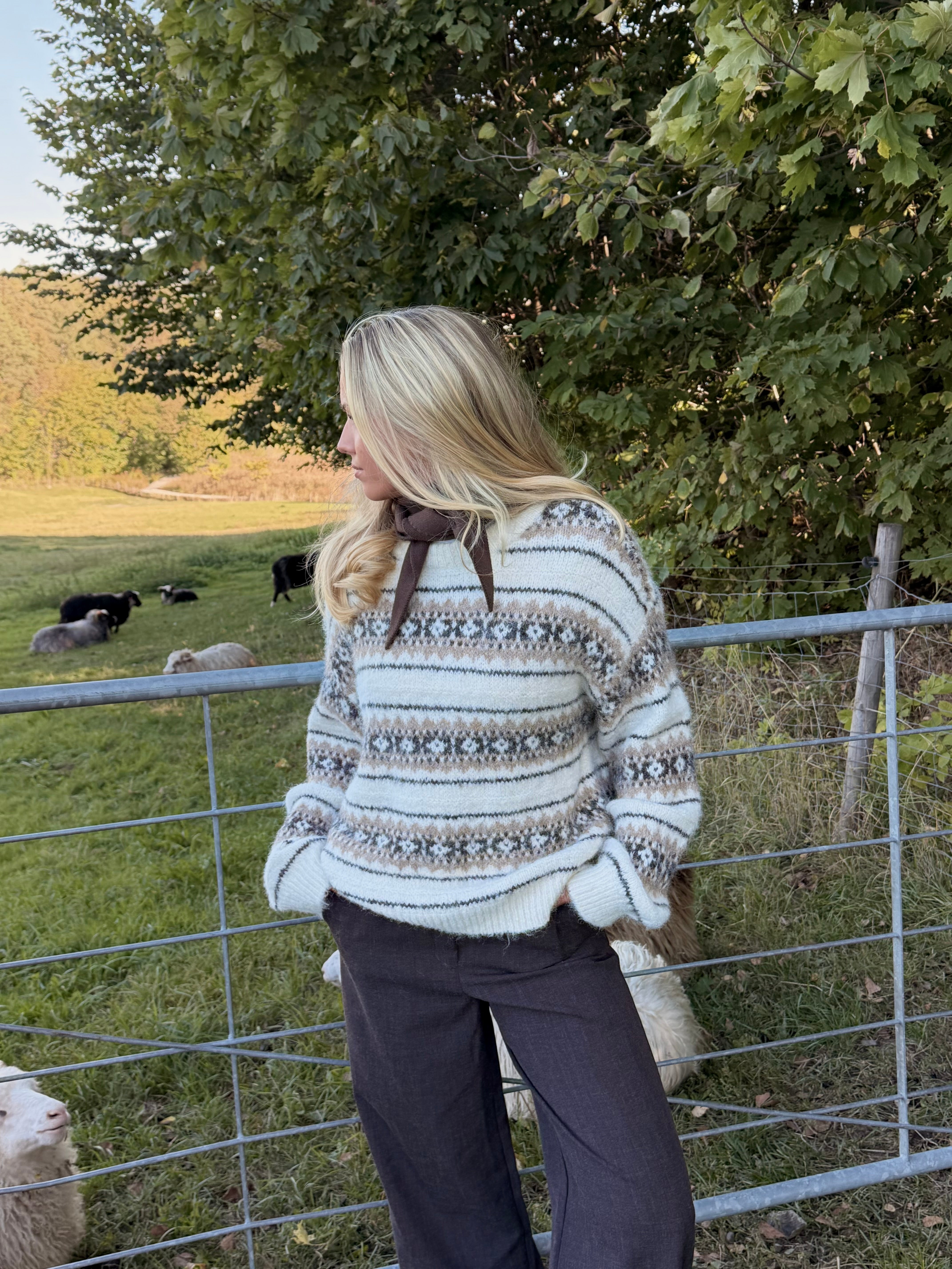 VMISOLA PULLOVER - Birch