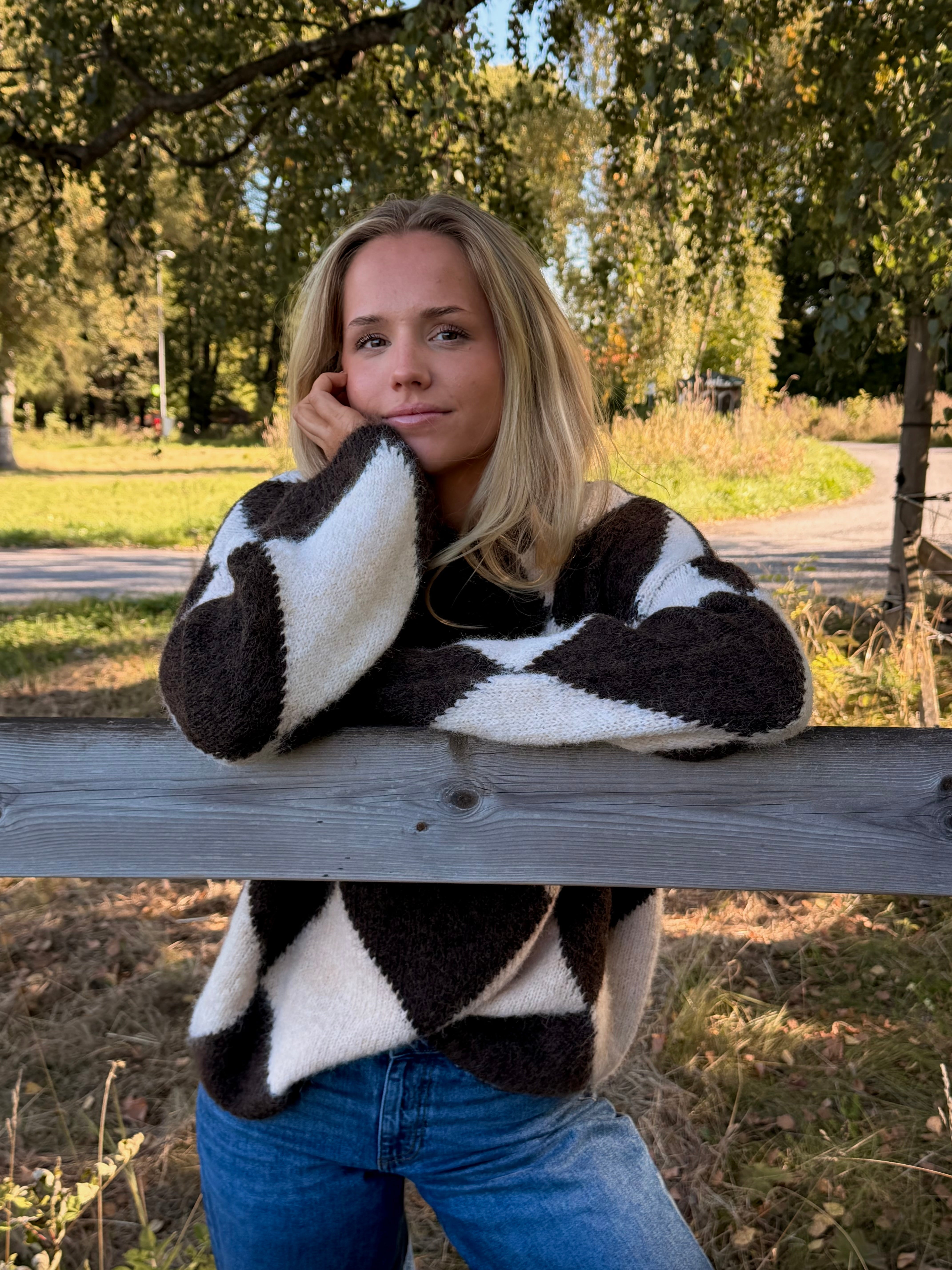 NMSUTTON KNIT - Chocolate Torte
