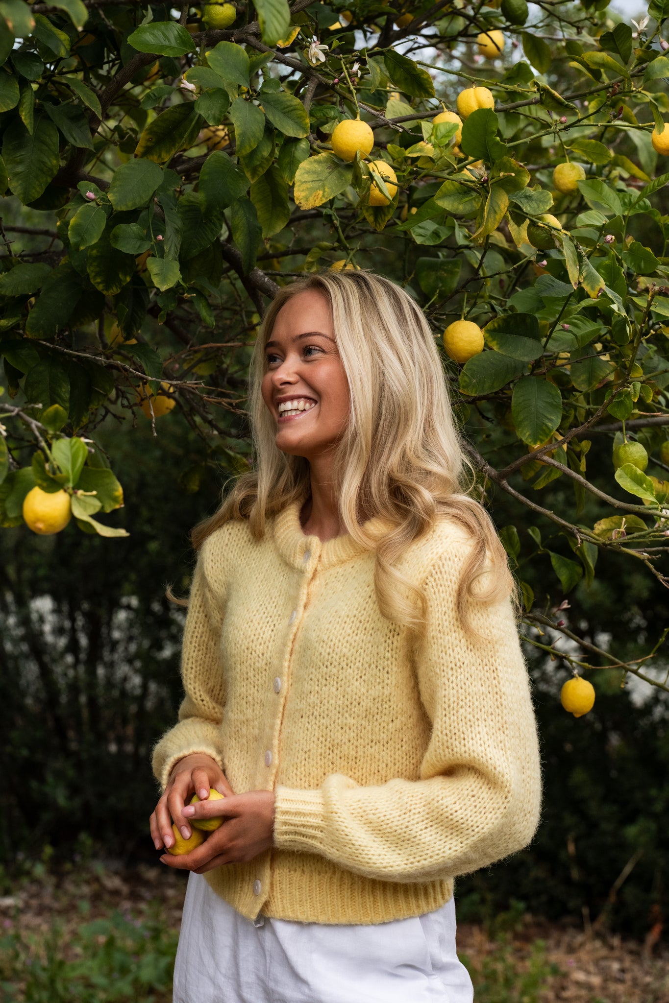 VMWILO Knit Cardigan - Pale Banana