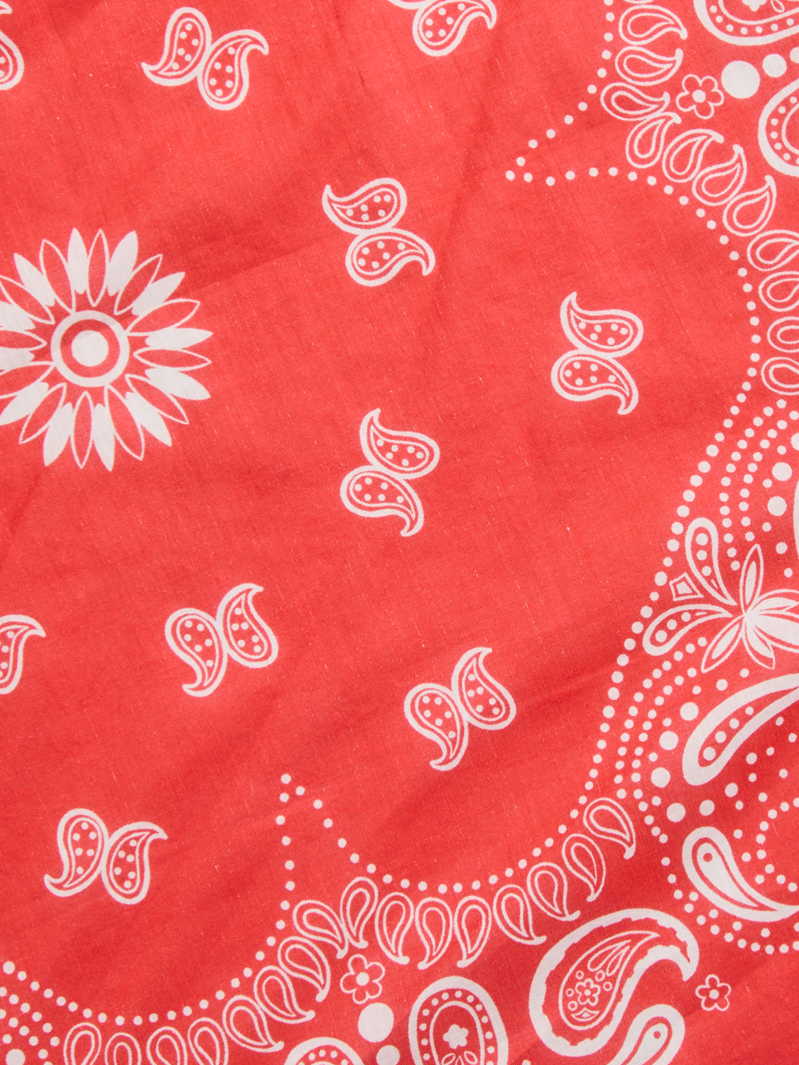 pack_shot-detail