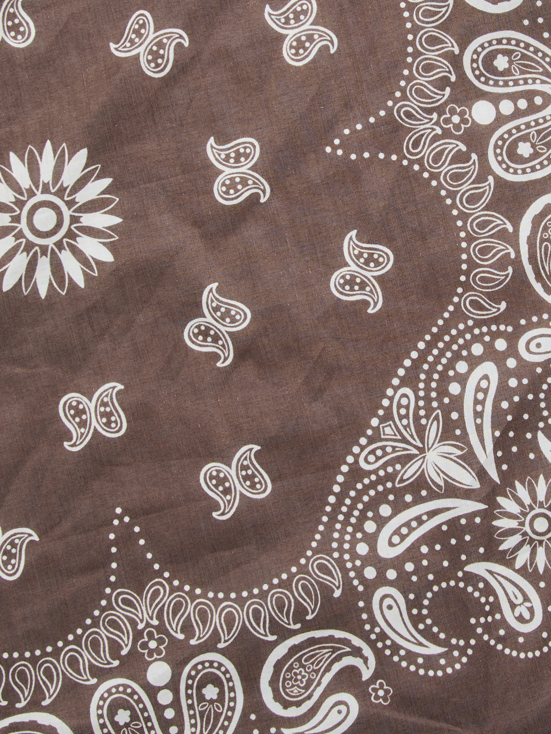 pack_shot-detail
