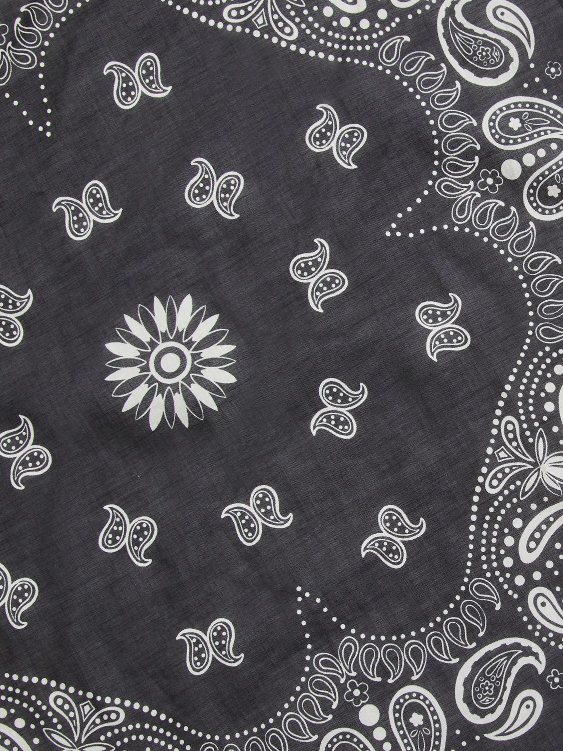 pack_shot-detail